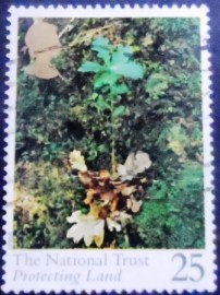 Selo postal do Reino Unido de 1995 Oak Seedling