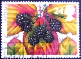 Selo postal do Reino Unido de 1993 Blackberry