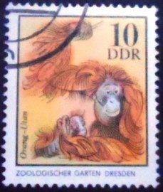 Selo postal da Alemanha Oriental de 1975 Bornean Orangutan MCC