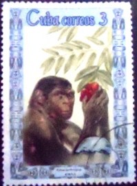 Selo postal de Cuba de 1967 Pithecanthropus erectus