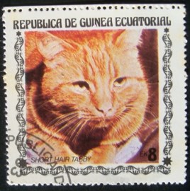 Selo postal da Guinea Equatorial de 1978 Short-haired Tabby