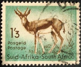 Selo postal da África do Sul de 1954 Springbok
