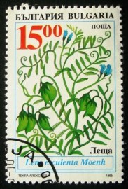 Selo postal comemorativo Bulgaria 1995 1995 - Len esculenta Moenh