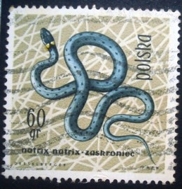 Selo postal comemorativo da Polonia de 1963 European Grass Snake