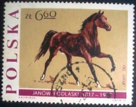 Selo postal comemorativo da Polonia de 1967 Stallion 'Ofir