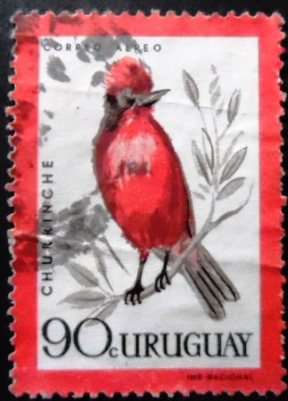 Selo postal do Uruguai de 1962 Vermilion Flycatcher