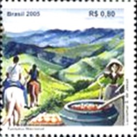 2005 -  Estrada Real Tropeiro