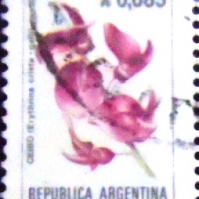 1985 - Ceibo