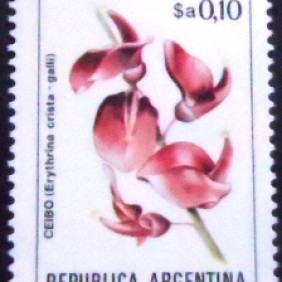 1984 - Ceibo