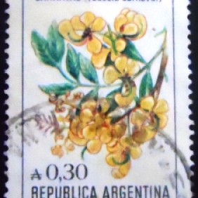 1985 - Flor de Carnaval