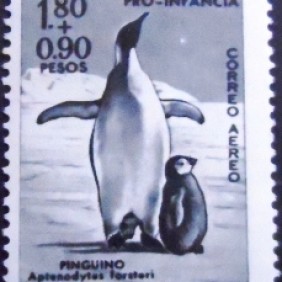 1961 - Emperor Penguin