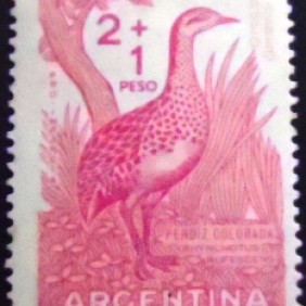 1961 - Red-winged Tinamou