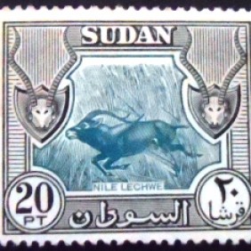1951 - Nile Lechwe