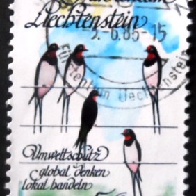 1986 - Barn Swallow