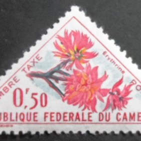 1963 - Hibiscus rosa-sinensis