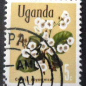 1969 - East African Cordia