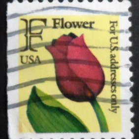 1991 - F Flower DI