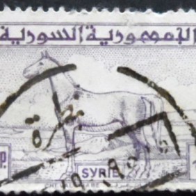 1948 - Arab Horse surcharged
