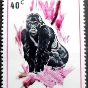 1970 - Mountain Gorilla