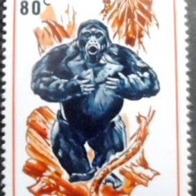 1970 - Mountain Gorilla 80
