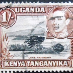 1938 - Lake Naivasha 1