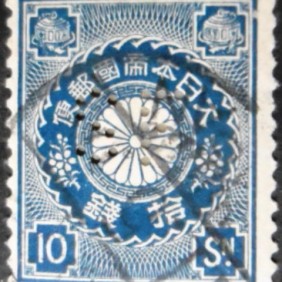 1899 - Chrysanthemum 10